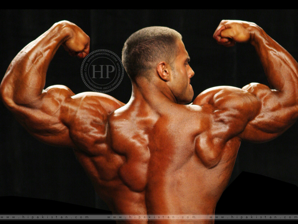 Bodybuilding Wallpapers